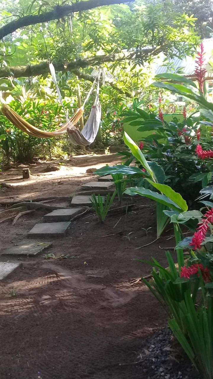 Casa Chilamates Tortuguero Zewnętrze zdjęcie