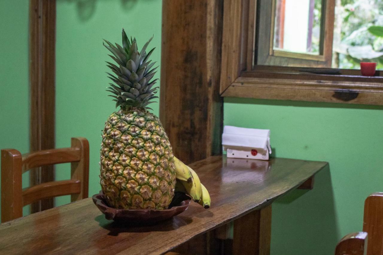 Casa Chilamates Tortuguero Zewnętrze zdjęcie